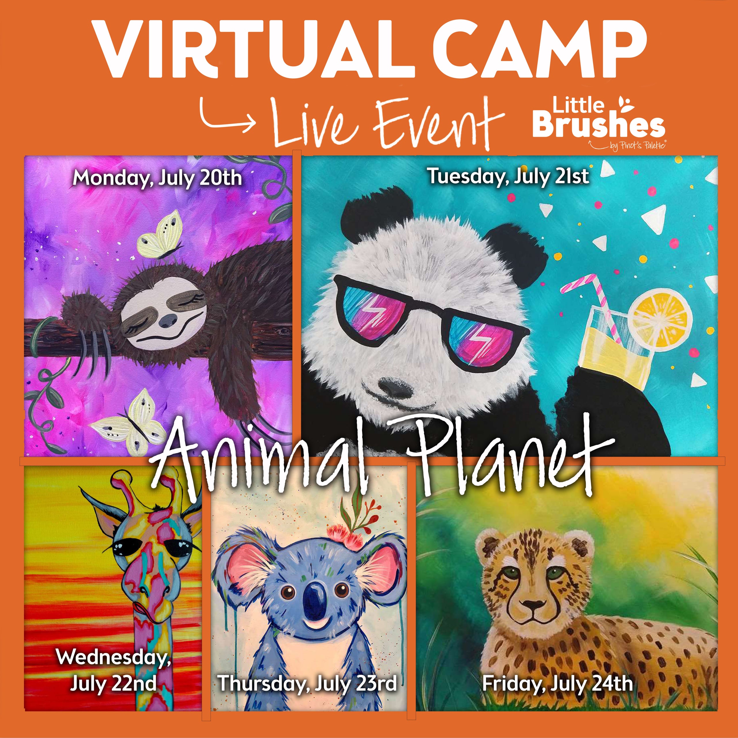 Animal Planet All Week Virtual Summer Camp 2 Ways: Take Home Kits Included or Use Your Own Supplies